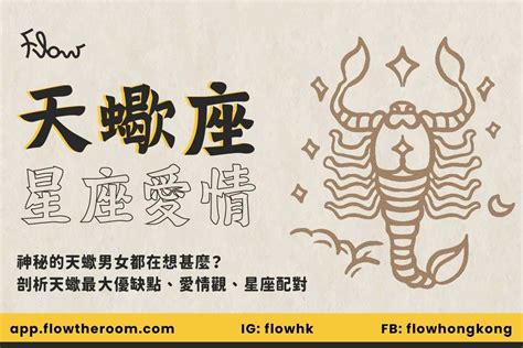 天蠍最合的星座|天蠍男跟什麼星座最合？星座專家揭密最佳配對